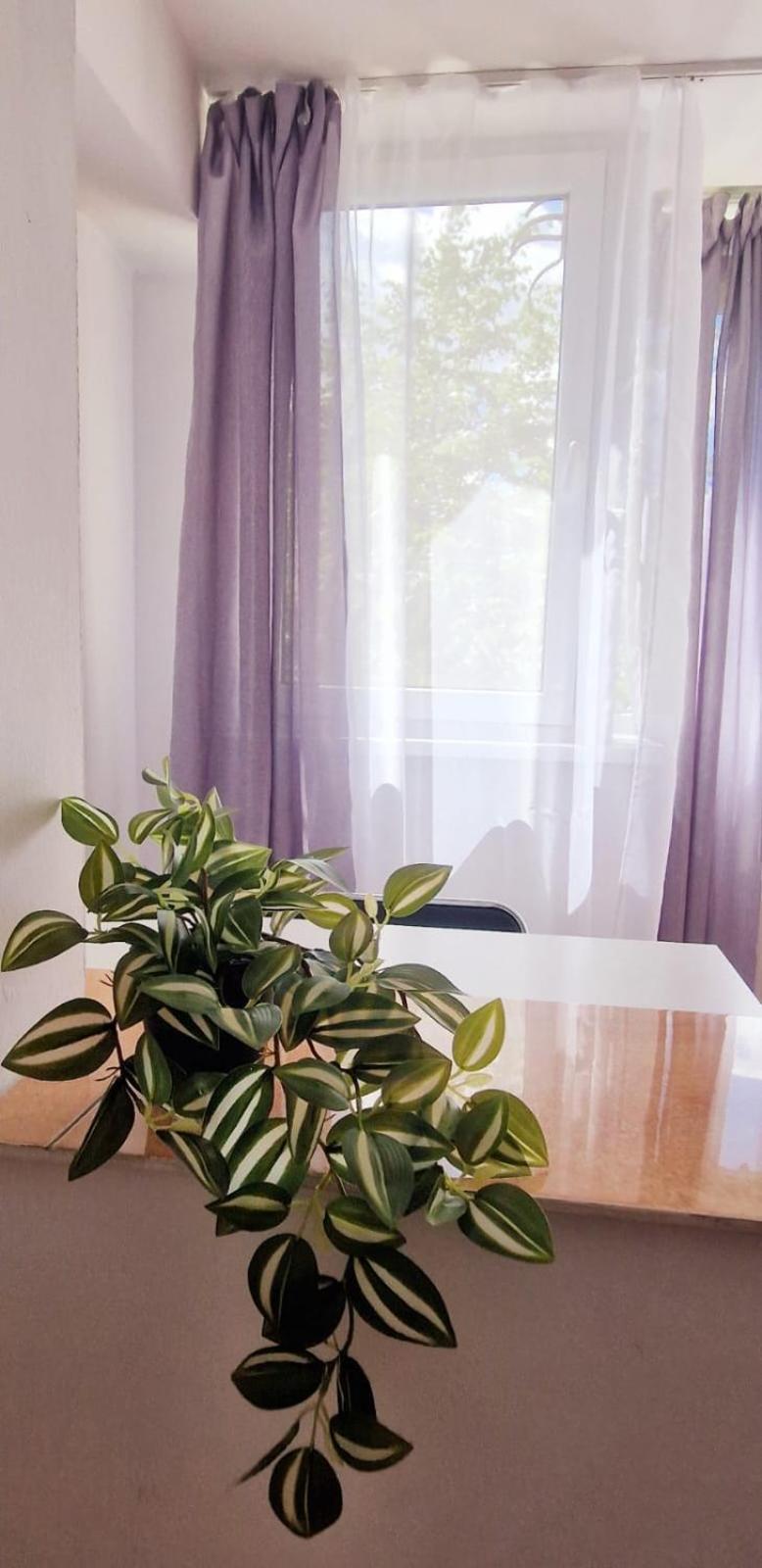בית אירוח Stephanie Apartment-centru Civic