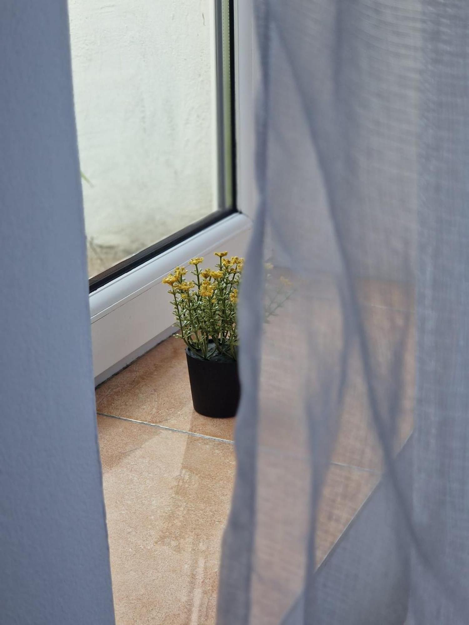 Stephanie Apartment-centru Civic בית אירוח בראשוב