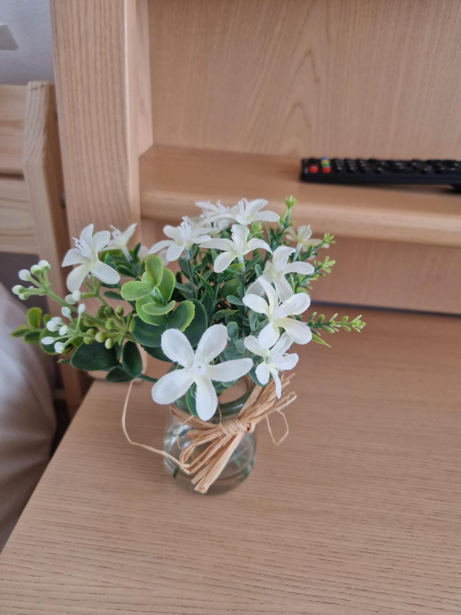 Stephanie Apartment-centru Civic בראשוב